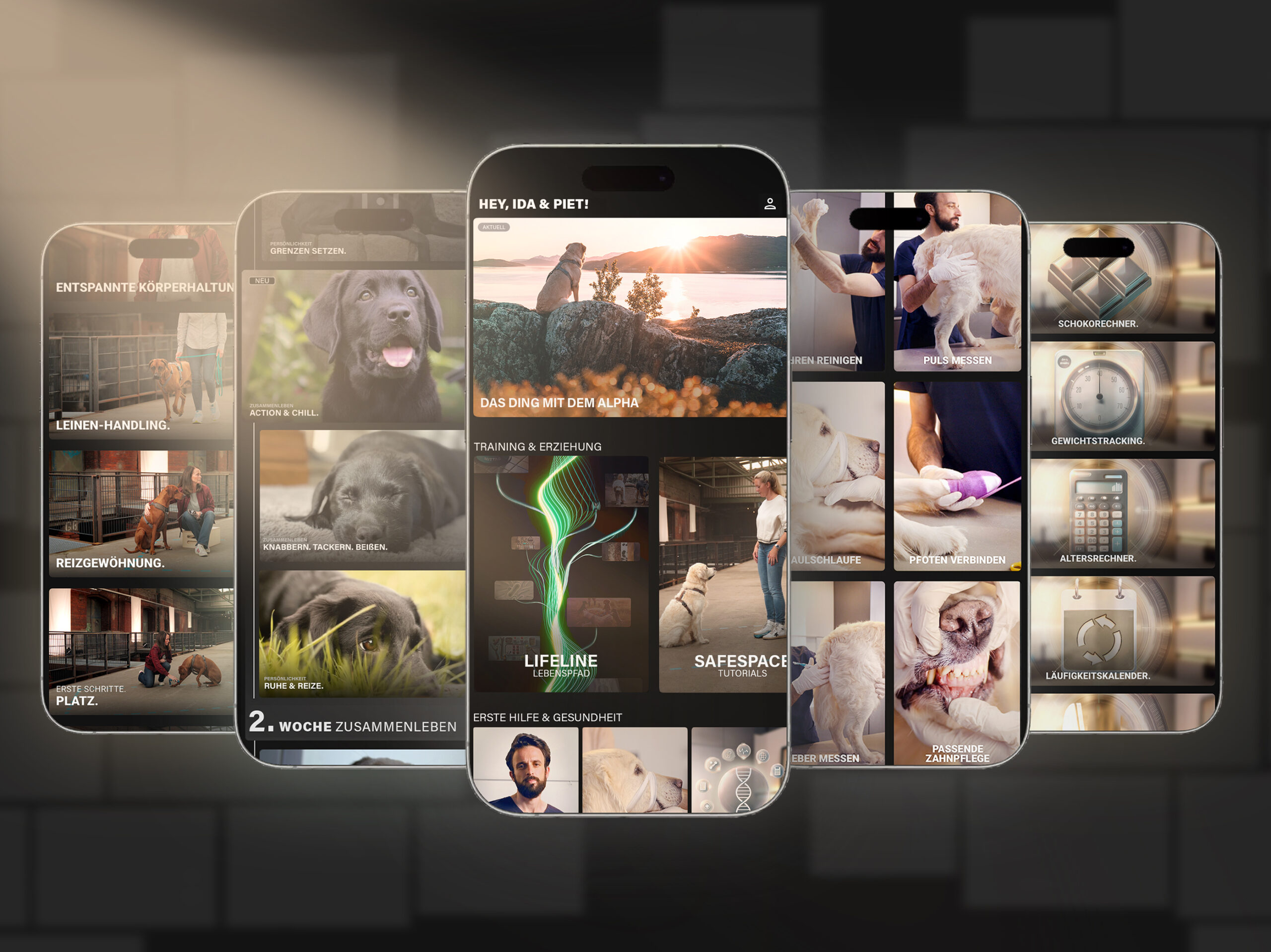 Übersicht des RUDEL.-Welt: App-Screens mit personalisiertem Hundetraining, Erste Hilfe, Coach-Funktion und Service Map