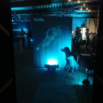 Teilnehmer:innen beim RUDEL.-Community-Event im Austausch – Workshop-Atmosphäre mit Vernetzung und Gesprächen