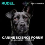 Porträt eines schwarzen Hundes als Key Visual für das Canine Science Forum 2025 in Hamburg vom 23.–26. Juni