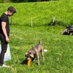 Hundetrainer und RUDEL.-Gründer Tim Matschkowski im Erkunden mit eigenem Hund Piet