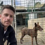 Hundetrainer und RUDEL.-Gründer Tim Matschkowski im Tierheim/Tierschutz in Malaga in Spanien