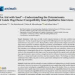 Wissenschaftliche Publikation zu Persönlichkeits-Fit von Mensch und Hund von Autor, Hundetrainer und RUDEL.-Gründer Tim Matschkowski