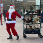 Hundetrainer und RUDEL.-Gründer Tim Matschkowski als Weihnachstmann in einer Community Aufklärungs-Kamapgne Hunde sind kein Weihnachtsgeschenk