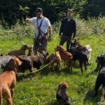 Hundetrainer und RUDEL.-Gründer Tim Matschkowski mit einer Gruppe von Hunden