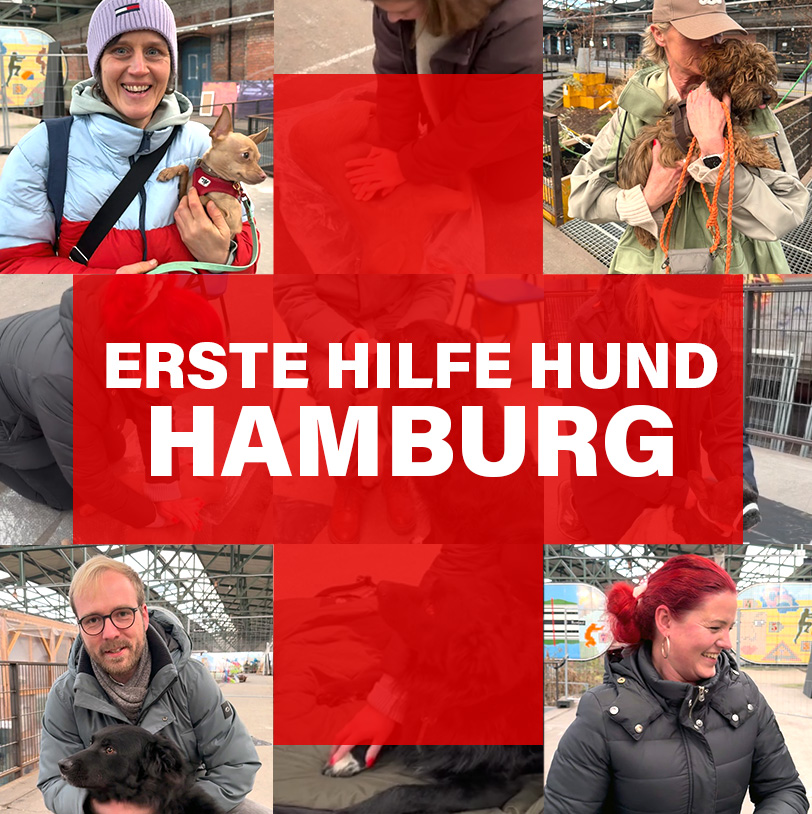 Collage zum Erste-Hilfe-Workshop für Hunde in Hamburg – Menschen mit Hunden vor rotem Kreuz