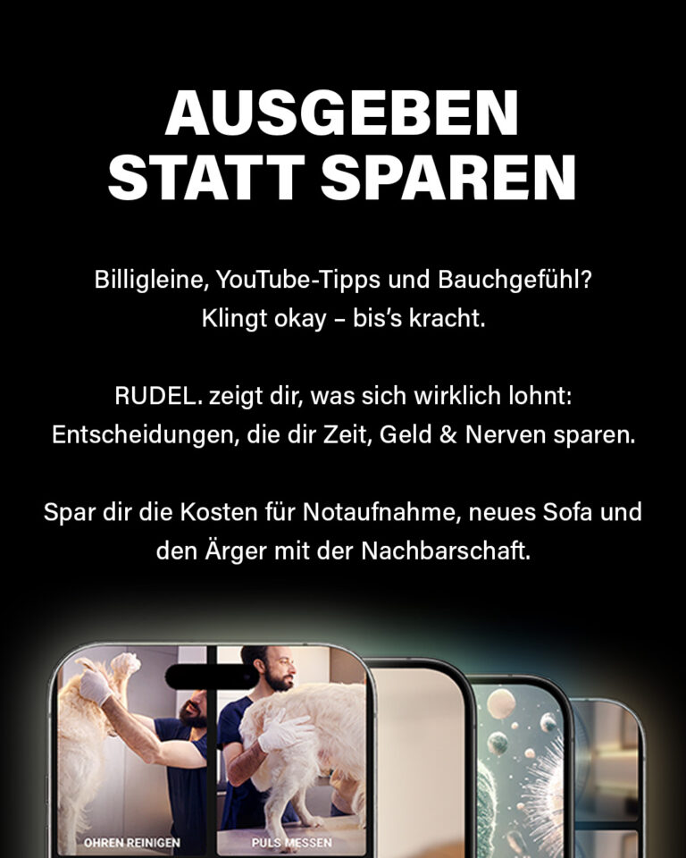 Slide 5 - Was bringt mir RUDEL