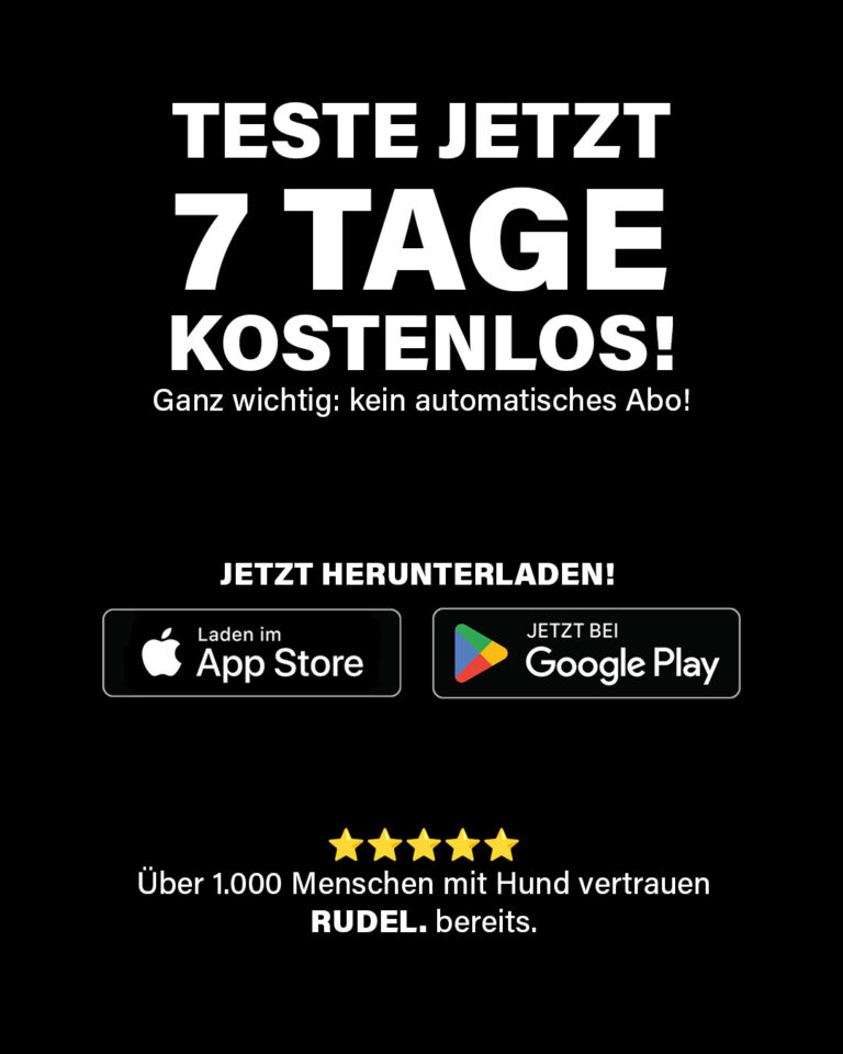 Slide 6 - Was bringt mir RUDEL