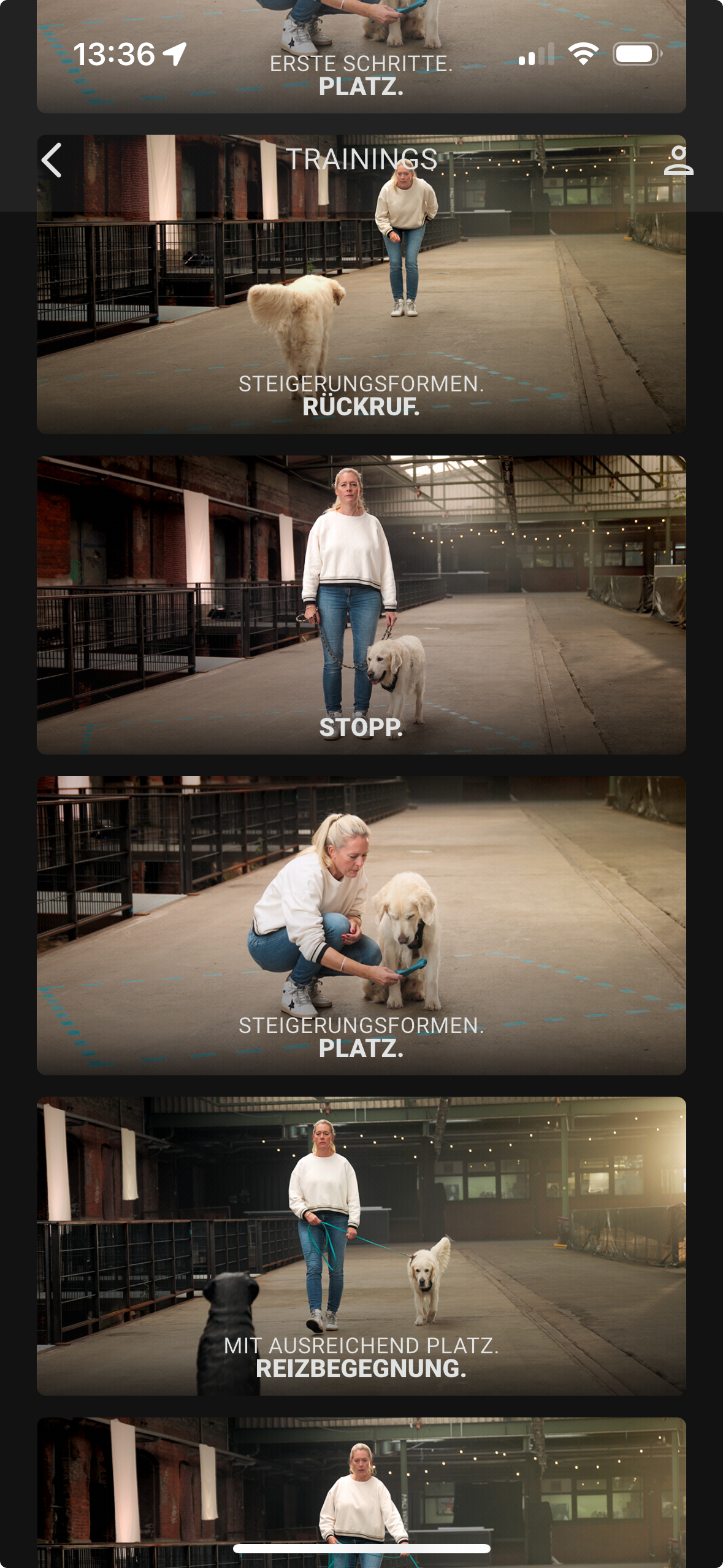 Screenshot der RUDEL. App mit mehreren Trainingsszenen in einer großen Industriehalle. Eine Frau trainiert mit ihrem Golden Retriever verschiedene Übungen: Rückruf, Stopp, Platz und Reizbegegnung. Die Trainingssequenzen sind mit Titeln wie „Steigerungsformen. Rückruf.“, „Stopp.“, „Steigerungsformen. Platz.“ und „Mit ausreichend Platz. Reizbegegnung.“ versehen.