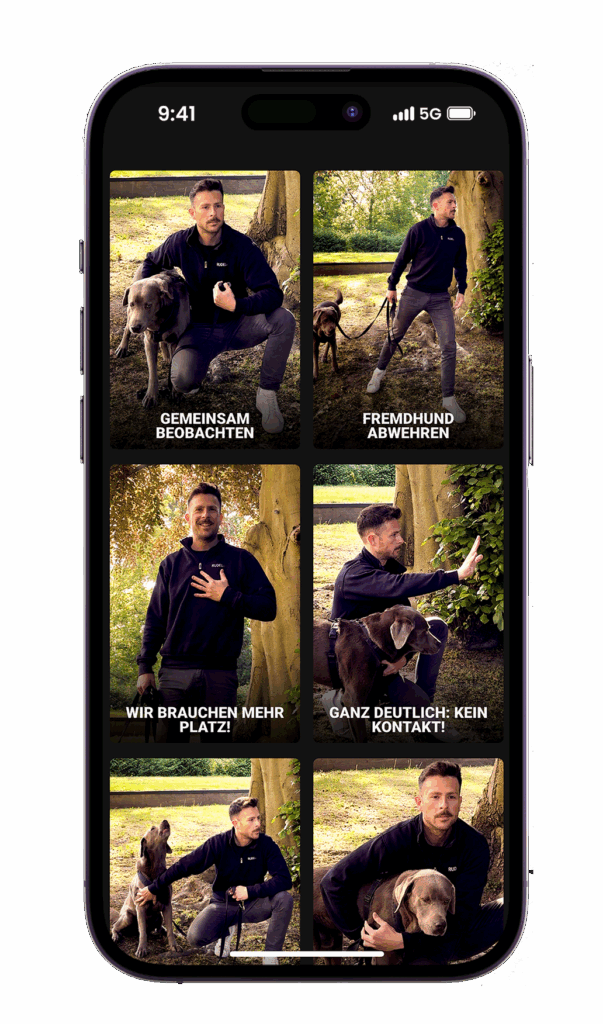 Das Bild zeigt ein Smartphone-Display mit sechs Videothumbnails aus der RUDEL. App. Zu sehen ist ein Mann mit einem braunen Hund in verschiedenen Trainingssituationen im Freien, jeweils mit deutlicher Körpersprache. Die Bildtitel lauten: „Gemeinsam beobachten“, „Fremdhund abwehren“, „Wir brauchen mehr Platz!“, „Ganz deutlich: kein Kontakt!“, „Ruhig bleiben“ und „Sicher bei mir“. Die Szene veranschaulicht das Thema Körpersprache und Kommunikation zwischen Mensch und Hund in realen Begegnungssituationen.