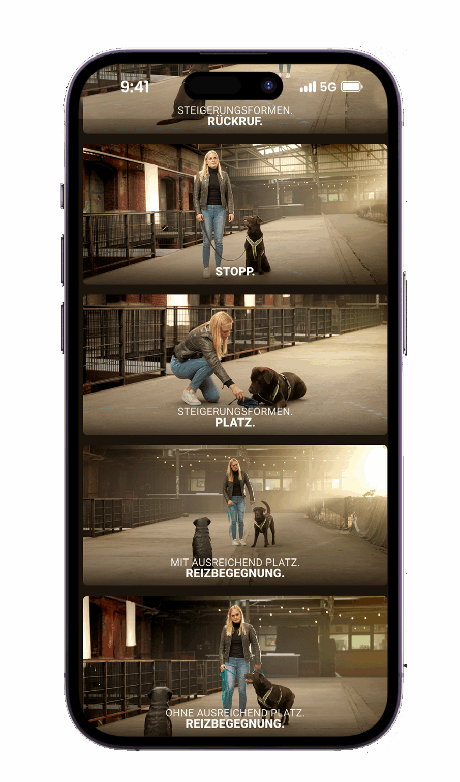Smartphone mit geöffneter RUDEL. App. Eine Frau trainiert mit ihrem braunen Labrador Retriever in einer großen Halle verschiedene Übungen. Zu sehen sind mehrere Szenen mit den Titeln „Steigerungsformen. Rückruf.“, „Stopp.“, „Steigerungsformen. Platz.“, „Mit ausreichend Platz. Reizbegegnung.“ und „Ohne ausreichend Platz. Reizbegegnung.“ Das Training zeigt den strukturierten Aufbau und unterschiedliche Schwierigkeitsstufen im Alltagstraining mit Hund.