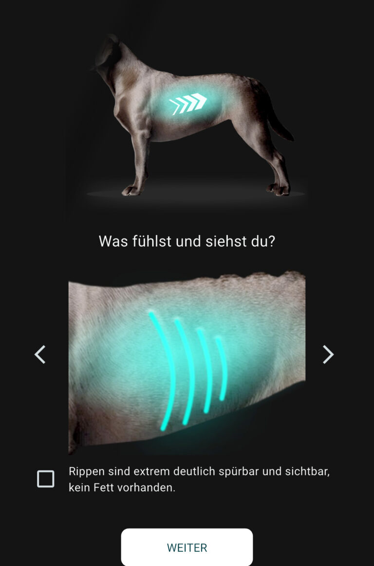 Screenshot des Body Condition Checks der RUDEL. App: Schritt 1 – Rippen abtasten. Anleitung mit markiertem Bereich am Hundekörper und Beispielbild zeigt, wie die Rippen beim Abtasten aussehen und sich anfühlen.