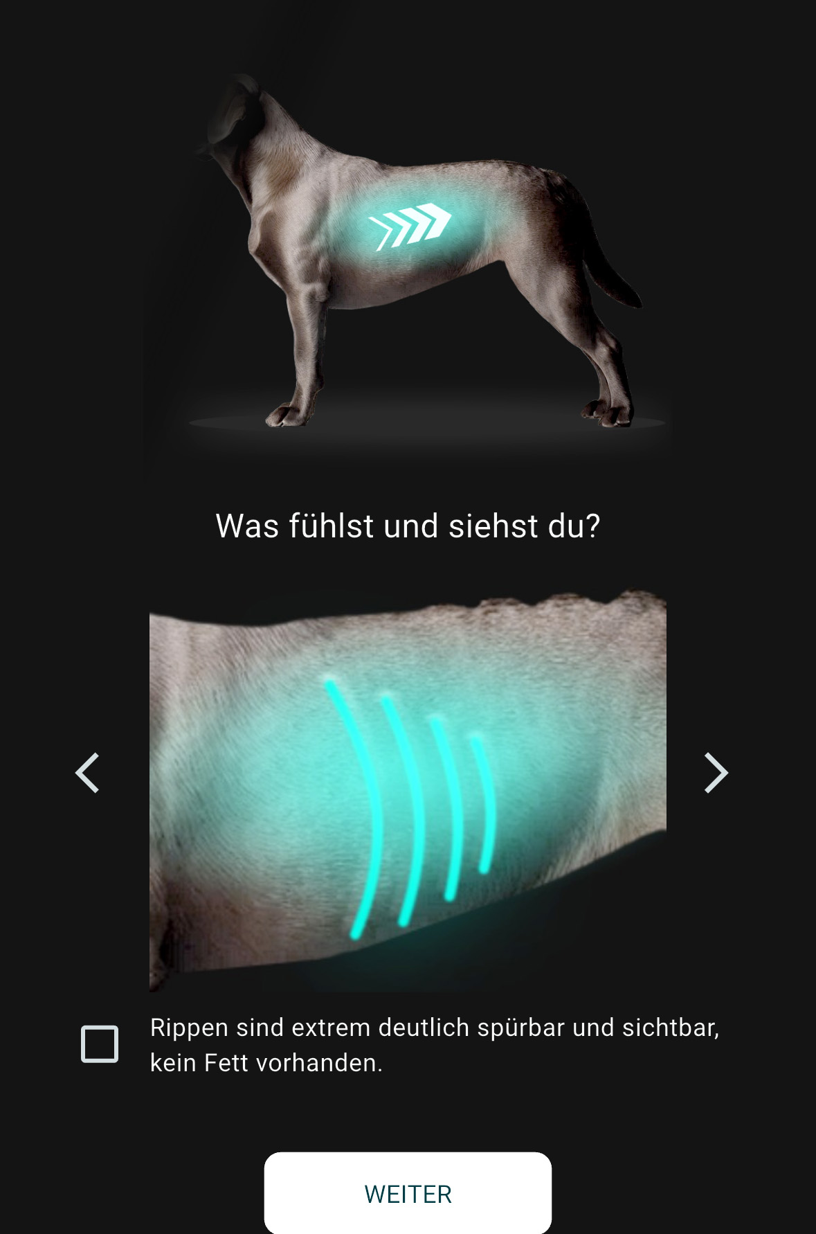 Screenshot des Body Condition Checks der RUDEL. App: Schritt 1 – Rippen abtasten. Anleitung mit markiertem Bereich am Hundekörper und Beispielbild zeigt, wie die Rippen beim Abtasten aussehen und sich anfühlen.