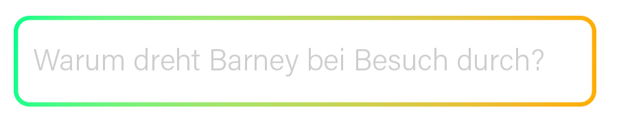 Transparente Eingabeleiste des KI Coach KAIA mit Farbverlauf von Grün zu Orange und der Beschriftung ‚Warurm dreht Barney bei Besuch durch?‘ – modernes Interface-Element aus der RUDEL. App.“