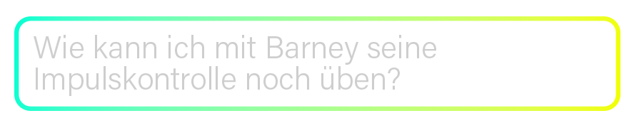 Transparente Eingabeleiste des KI Coach KAIA mit Farbverlauf von Türkis zu Neongelb und der Beschriftung ‚wie kann ich mit Barney seine Impulskontrolle noch üben?‘ – modernes Interface-Element aus der RUDEL. App.“