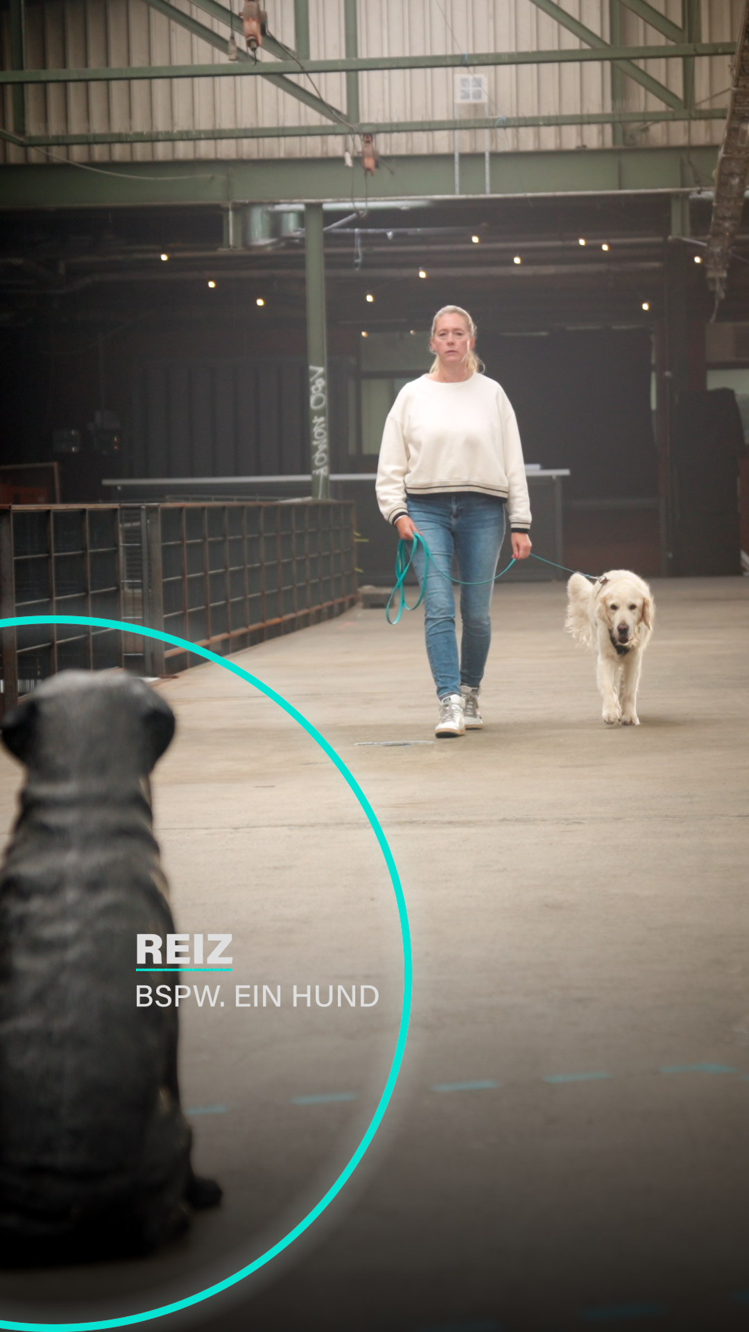 Frau steht mit angeleintem Hund vor einer Hundestatue – Training zur kontrollierten Begegnungssituation in der RUDEL. App.