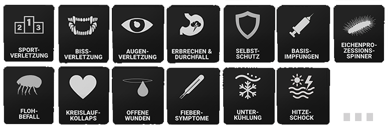 Übersicht mit 13 schwarzen Symbolkacheln aus der RUDEL. App zum Thema Erste Hilfe für Hunde. Gezeigt werden Icons mit Beschriftungen: Sportverletzung, Bissverletzung, Augenverletzung, Erbrechen & Durchfall, Selbstschutz, Basisimpfungen, Eichenprozessionsspinner, Flohbefall, Kreislaufkollaps, Offene Wunden, Fiebersymptome, Unterkühlung, Hitzeschock und Prellung.