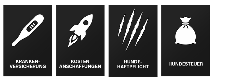 „Vier schwarze Kacheln aus der RUDEL. App mit weißen Symbolen zu organisatorischen Hundethemen: Thermometer für Krankenversicherung, Rakete für Kosten & Anschaffungen, Kratzspuren für Hundehaftpflicht, Geldsack für Hundesteuer.“