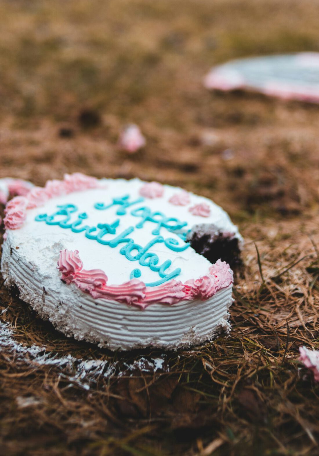 Eine weiße Geburtstagstorte mit rosa Zuckerguss und der Aufschrift ‚Happy Birthday‘ liegt beschädigt auf dem Boden. Ein Stück fehlt, der Boden ist mit Gras und Erde bedeckt. Cover Bild der Rubrik "Vorsorge & Rechtliches" der RUDEL. App