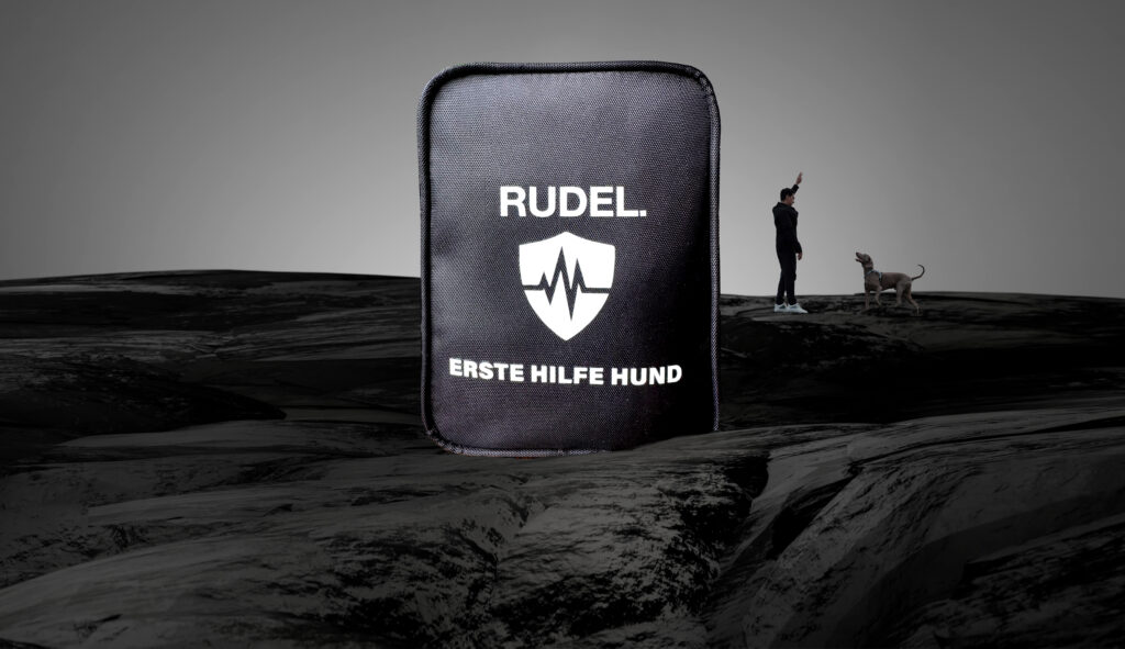 Erste Hilfe Hund Kit auf Felsen mit Mensch und Hund im Hintergrund sportlich interagierend