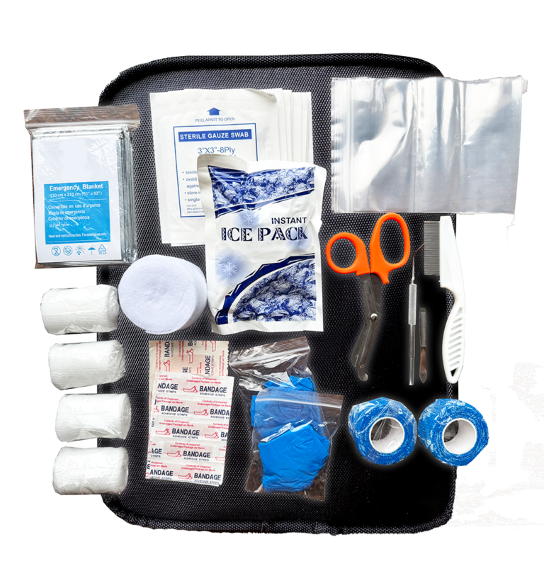 alle Inhalte des Erste Hilfe Kits von Kompressen über selbsthaftende Binden bis Werkzeuge wie Schere und Pinzette