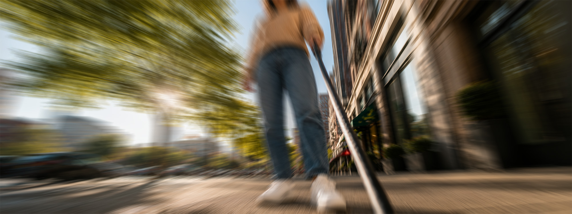 Welpe beißt draußen in die Leine