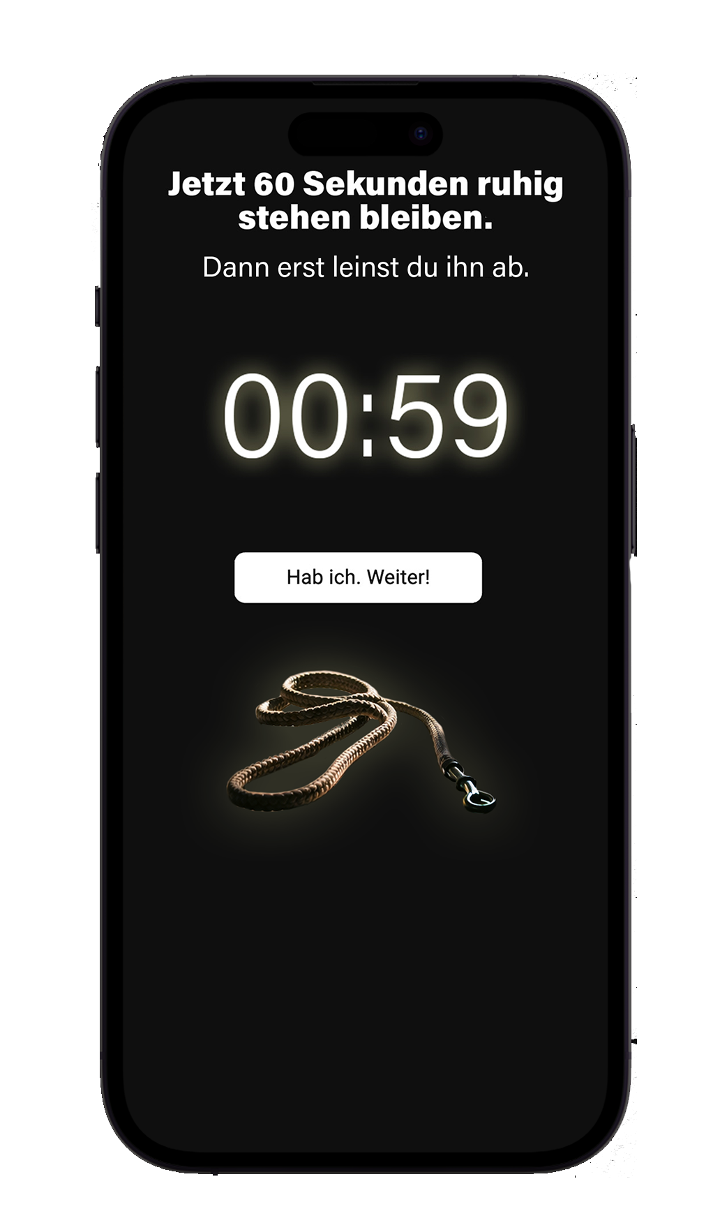 iPhone 14 Pro Max Mockup - Landingpage - Welpe beißt - Situationsanalyse