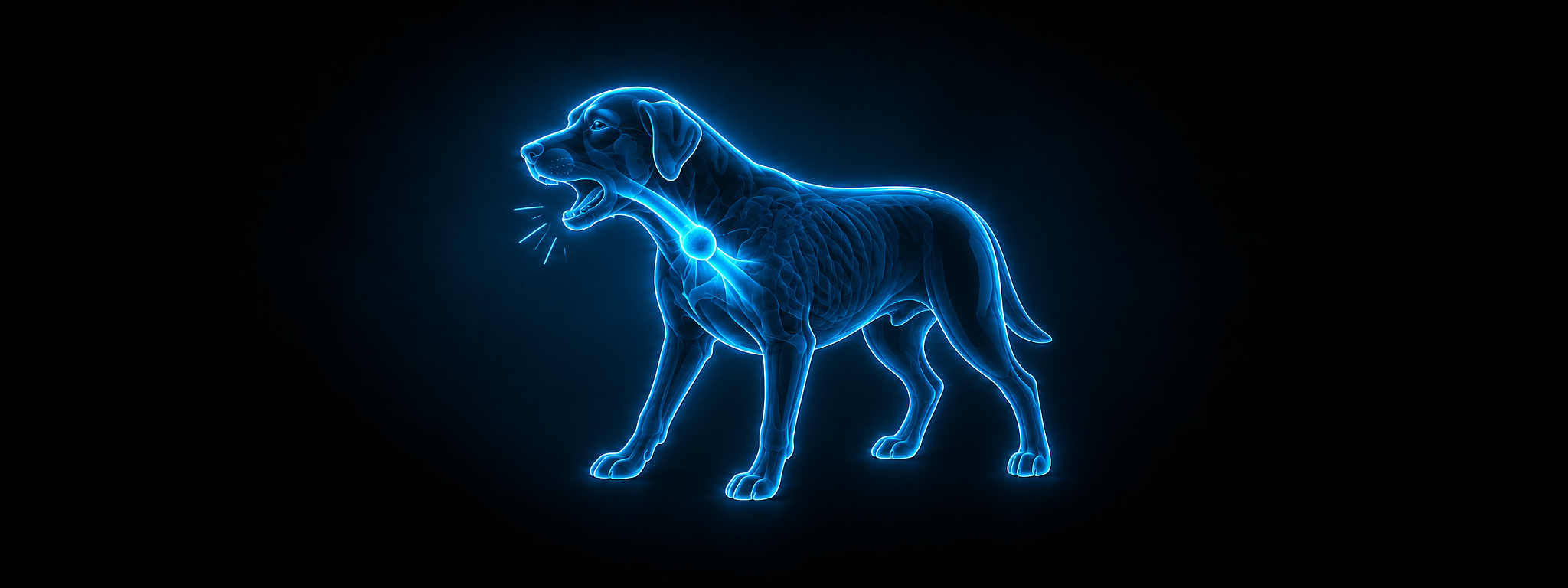 Eine leuchtend blaue, röntgenartige Illustration eines hustenden Hundes mit geöffnetem Maul und einem leuchtenden Punkt am Hals, der eine Blockade im Rachen markiert