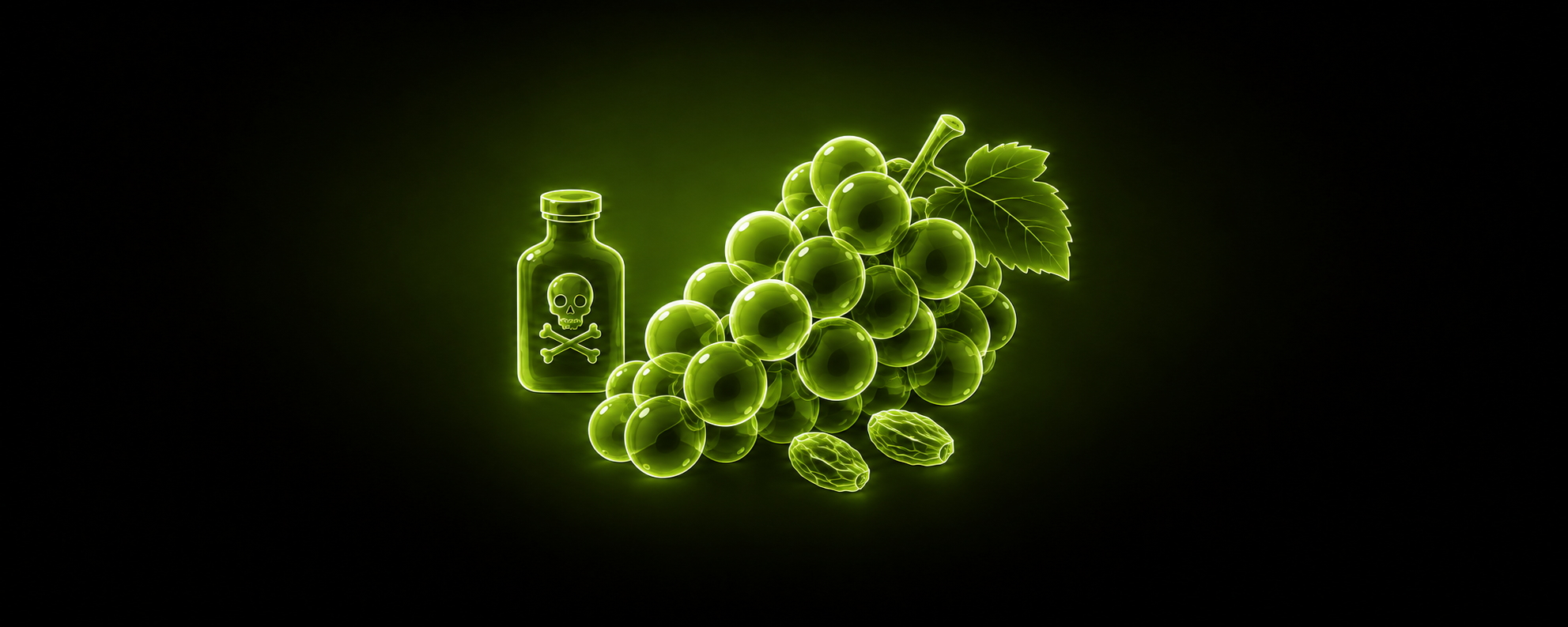 Eine leuchtend grüne Illustration einer Giftflasche mit Totenkopf-Symbol neben einer Weintraube mit Blatt und zwei Rosinen