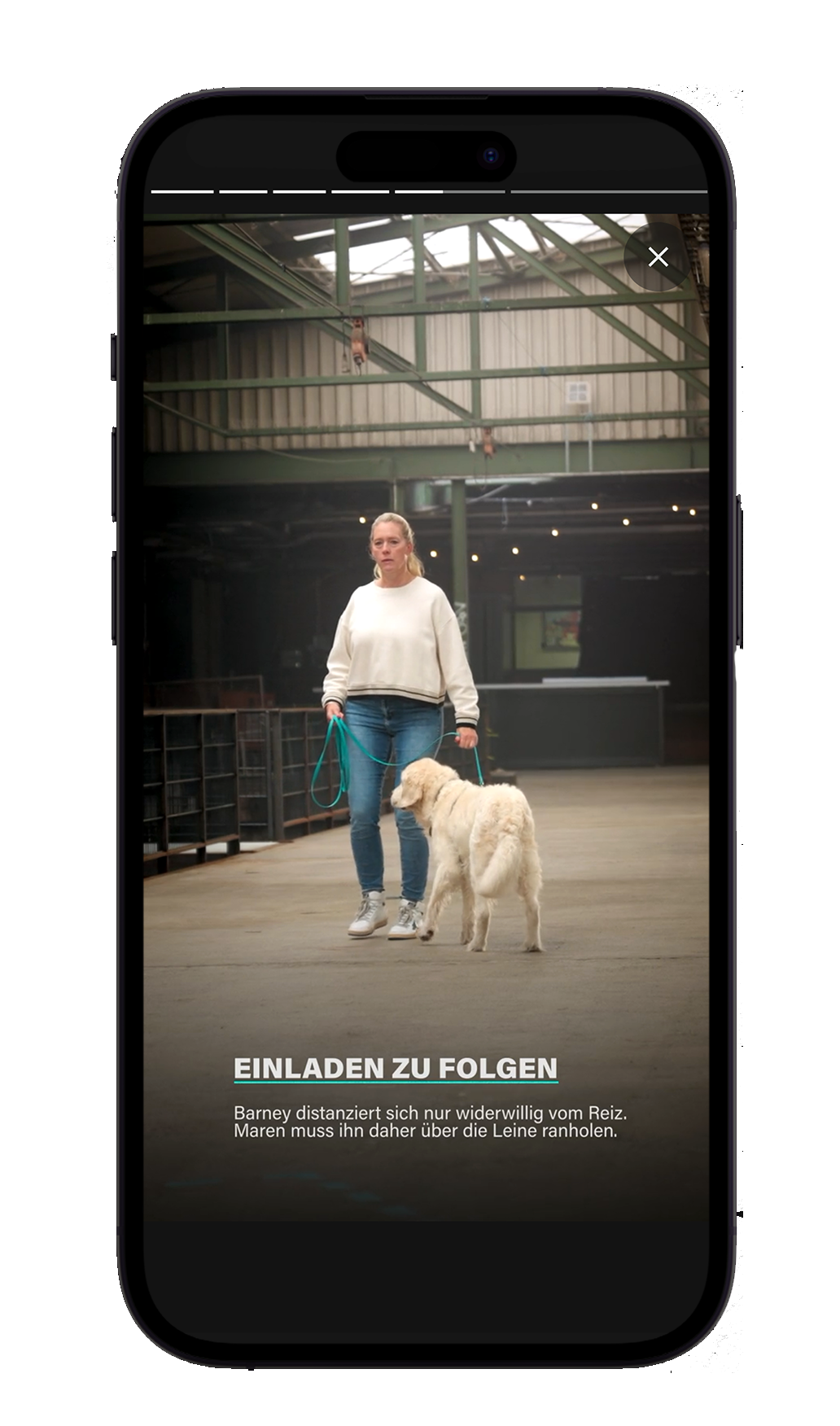 Alltagssituationen – Screenshot 3