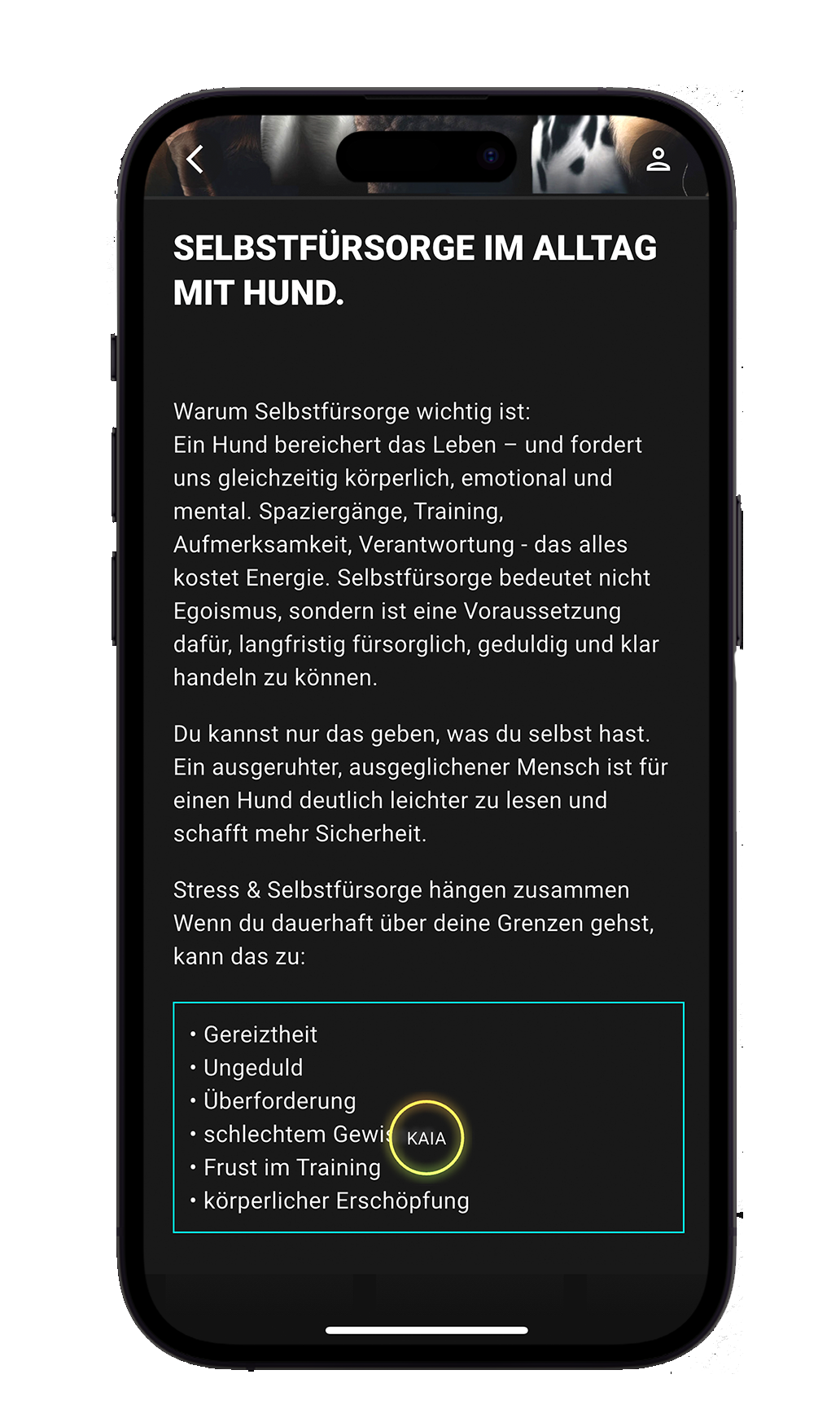 Coach KAIA – Entscheidung – Screenshot 3