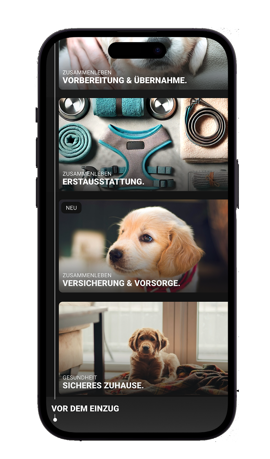 Hunde-Entscheidung – Screenshot 1