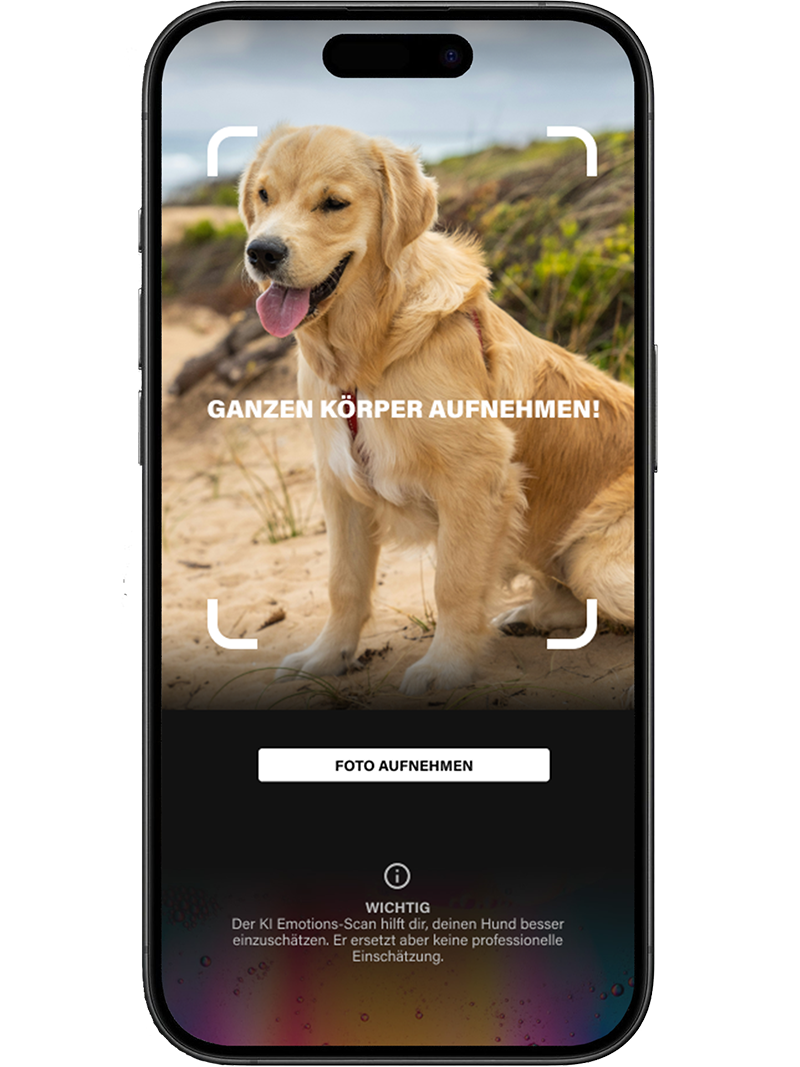Mockup iPhone - KI Emotionscheck - Step 2