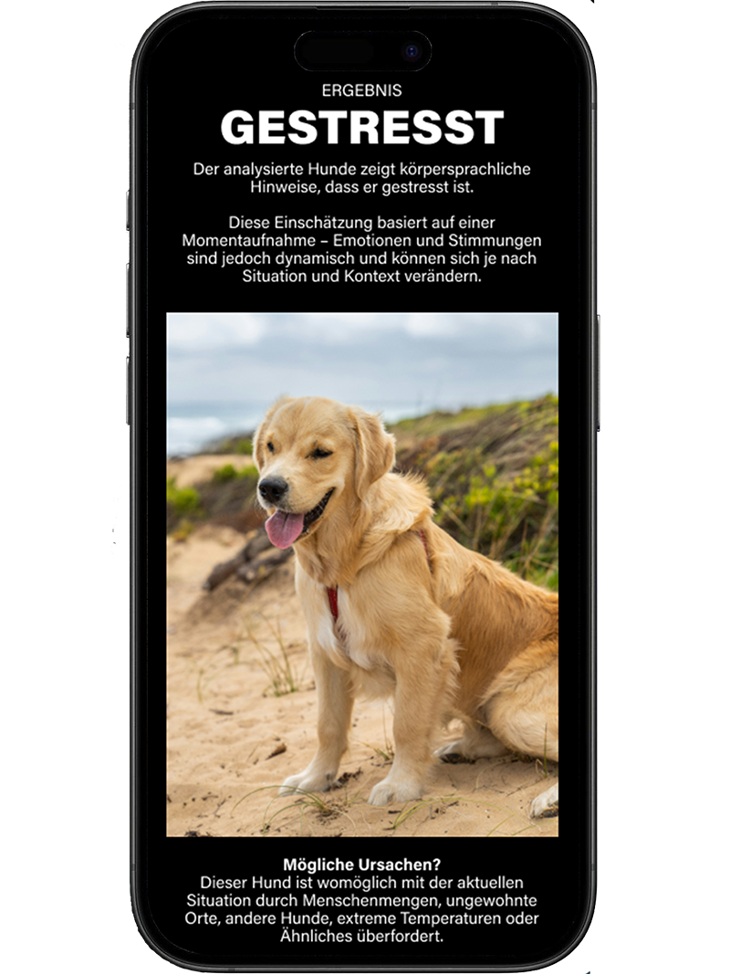 Mockup iPhone - KI Emotionscheck - Step 4