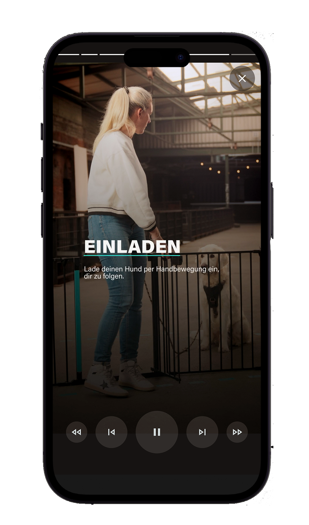 Trainingsbereich – Screenshot 3